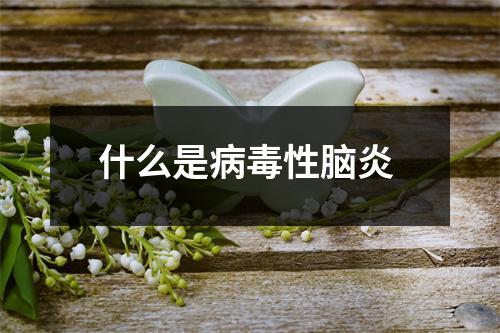 什么是病毒性脑炎