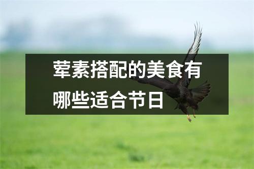 荤素搭配的美食有哪些适合节日