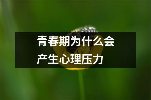 青春期为什么会产生心理压力