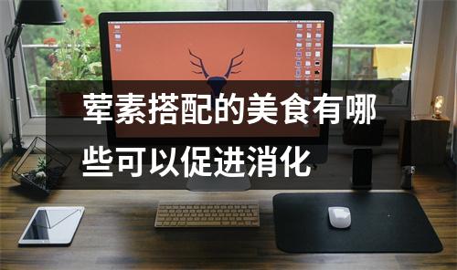 荤素搭配的美食有哪些可以促进消化