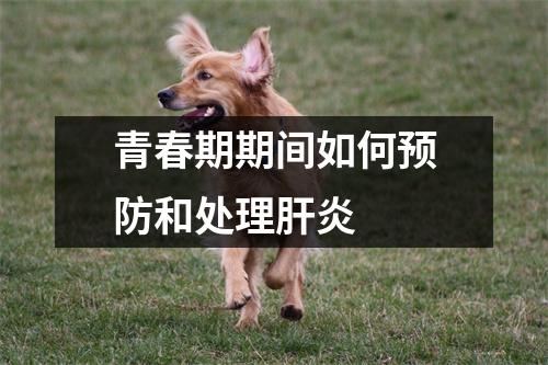 青春期期间如何预防和处理肝炎