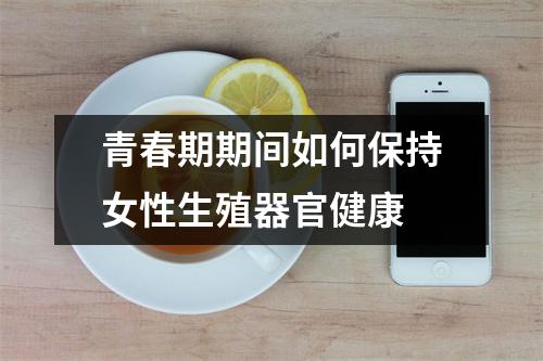 青春期期间如何保持女性生殖器官健康