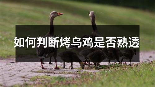 如何判断烤乌鸡是否熟透