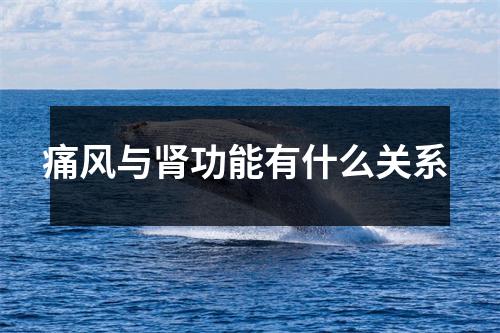 痛风与肾功能有什么关系