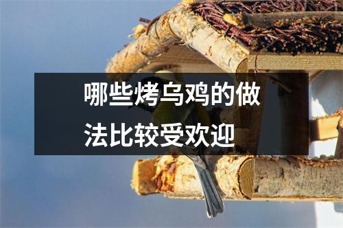 哪些烤乌鸡的做法比较受欢迎