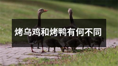 烤乌鸡和烤鸭有何不同