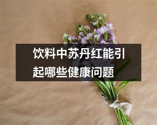 饮料中苏丹红能引起哪些健康问题