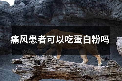 痛风患者可以吃蛋白粉吗