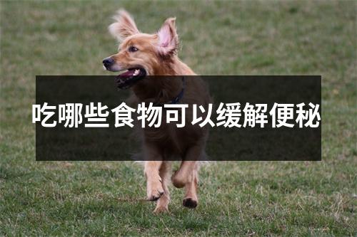 吃哪些食物可以缓解便秘