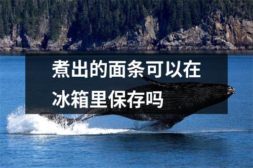 煮出的面条可以在冰箱里保存吗 煮出的面条可以在冰箱里保存吗