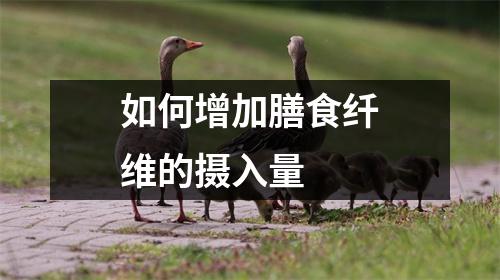 如何增加膳食纤维的摄入量