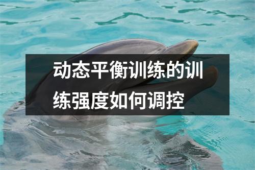 动态平衡训练的训练强度如何调控 