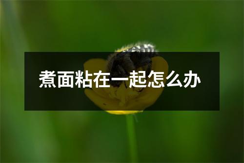 煮面粘在一起怎么办 