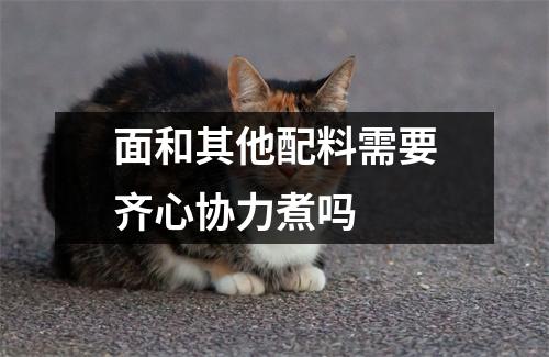 面和其他配料需要齐心协力煮吗 