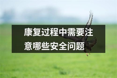康复过程中需要注意哪些安全问题