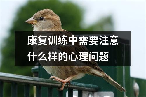 康复训练中需要注意什么样的心理问题