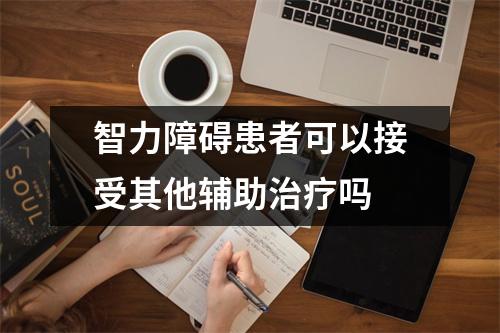 智力障碍患者可以接受其他辅助治疗吗