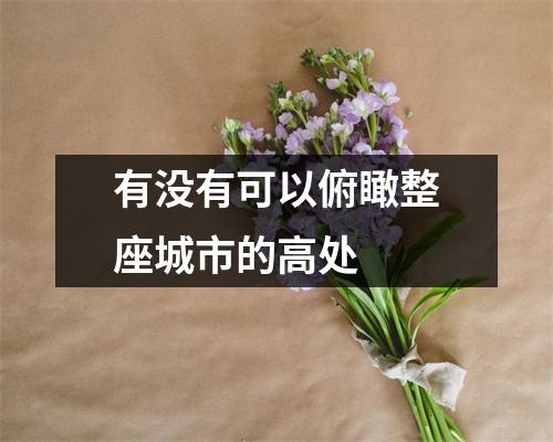 有没有可以俯瞰整座城市的高处