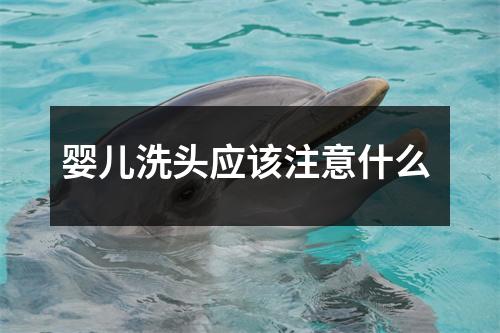 婴儿洗头应该注意什么