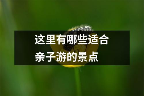 这里有哪些适合亲子游的景点