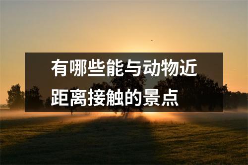 有哪些能与动物近距离接触的景点