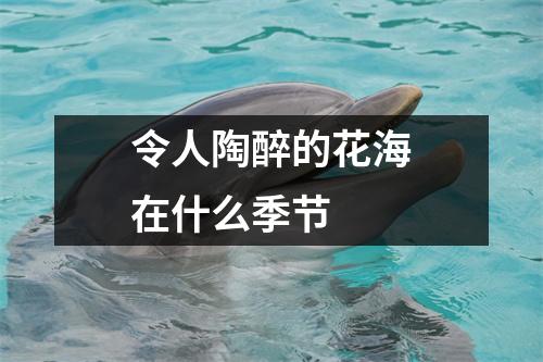 令人陶醉的花海在什么季节