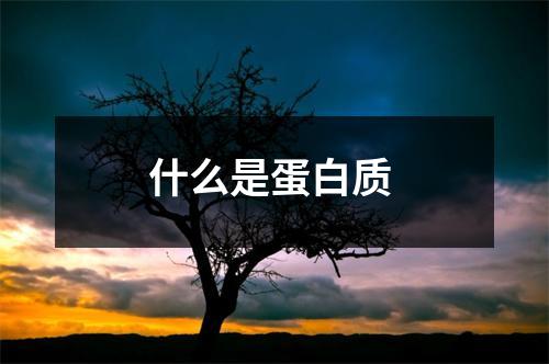 什么是蛋白质 什么是蛋白质