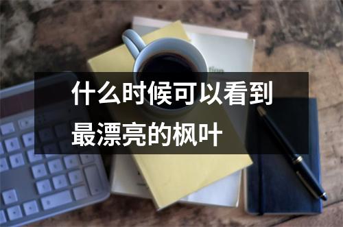 什么时候可以看到最漂亮的枫叶