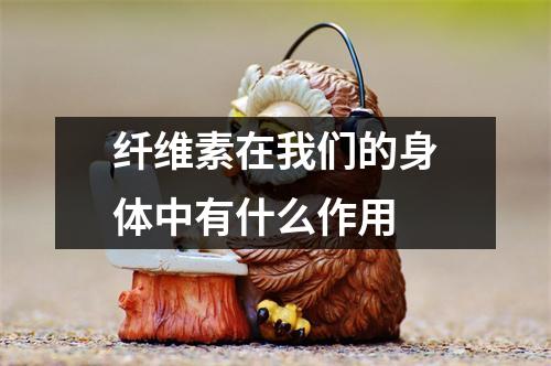 纤维素在我们的身体中有什么作用 纤维素在我们的身体中有什么作用