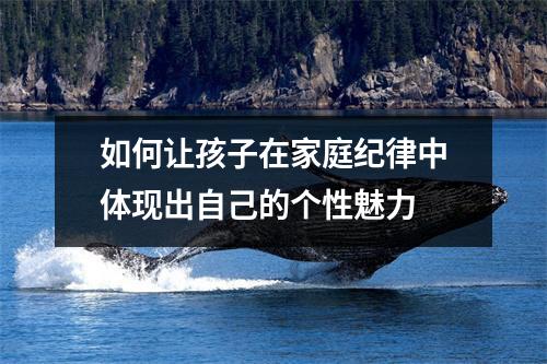 如何让孩子在家庭纪律中体现出自己的个性魅力