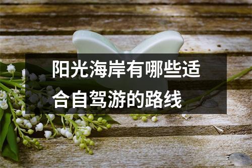 阳光海岸有哪些适合自驾游的路线