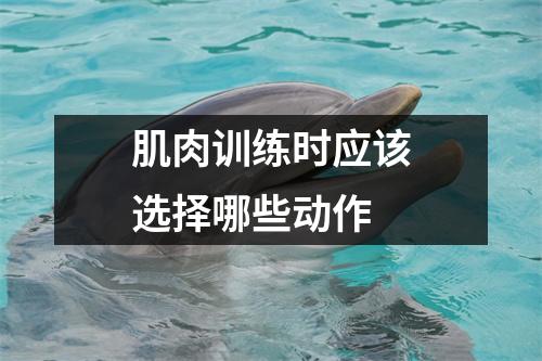 肌肉训练时应该选择哪些动作