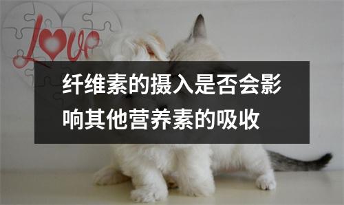 纤维素的摄入是否会影响其他营养素的吸收