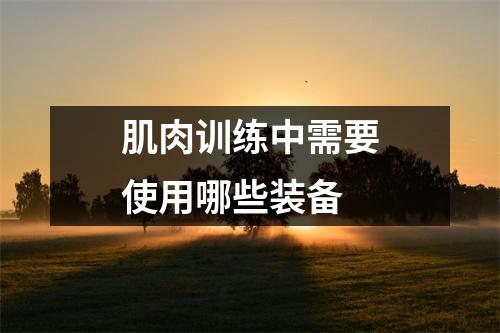 肌肉训练中需要使用哪些装备