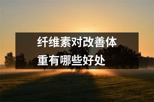 纤维素对改善体重有哪些好处 