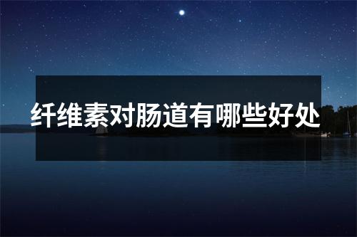 纤维素对肠道有哪些好处