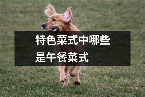 特色菜式中哪些是午餐菜式