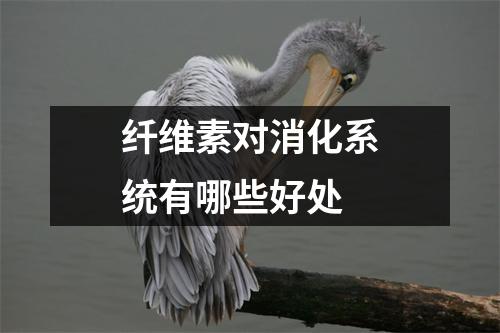 纤维素对消化系统有哪些好处 