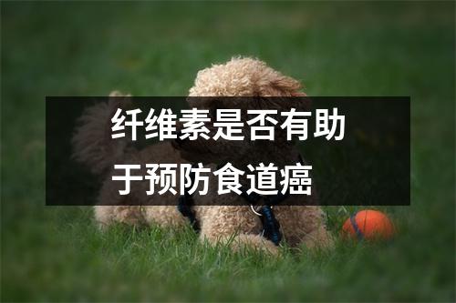 纤维素是否有助于预防食道癌 纤维素是否有助于预防食道癌