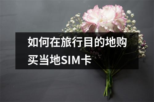 如何在旅行目的地购买当地SIM卡 