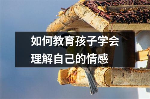 如何教育孩子学会理解自己的情感