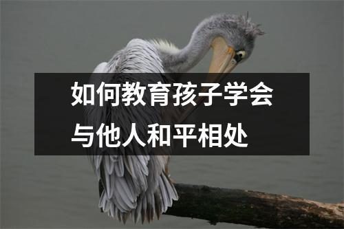如何教育孩子学会与他人和平相处