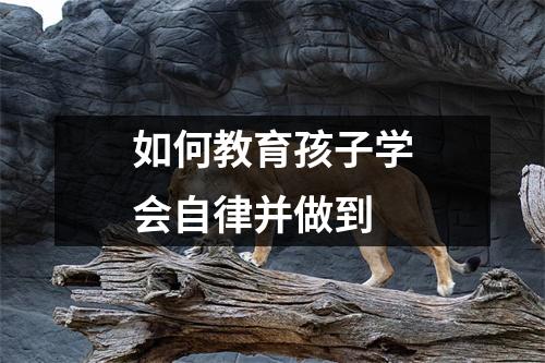 如何教育孩子学会自律并做到