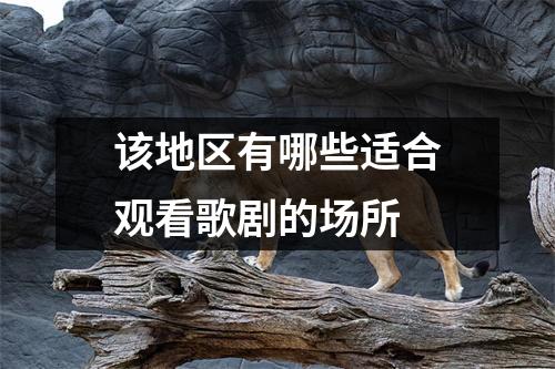 该地区有哪些适合观看歌剧的场所
