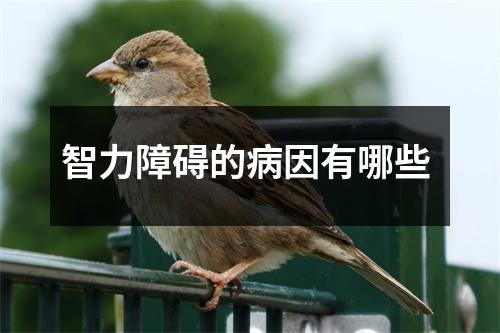 智力障碍的病因有哪些