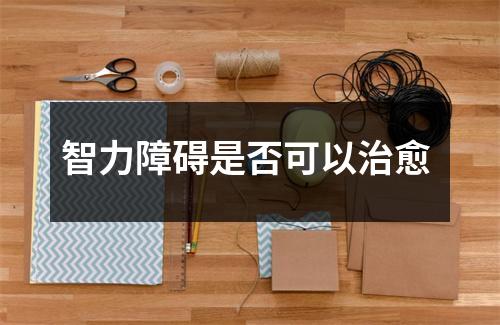 智力障碍是否可以治愈