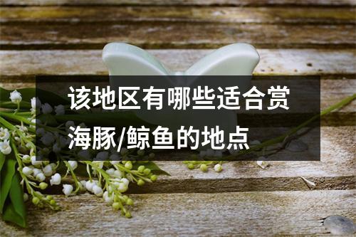 该地区有哪些适合赏海豚/鲸鱼的地点