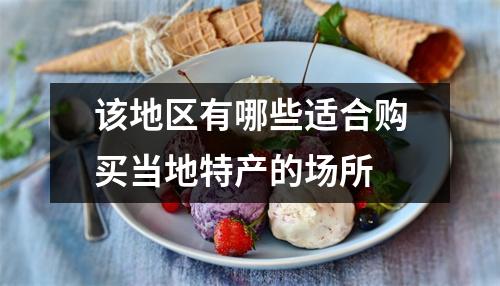 该地区有哪些适合购买当地特产的场所