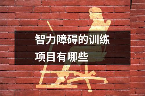 智力障碍的训练项目有哪些