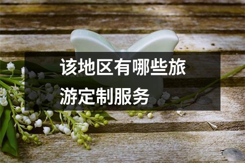 该地区有哪些旅游定制服务